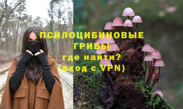 первитин Алексеевка