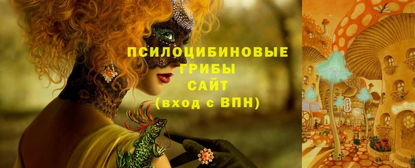 шишки Алексин